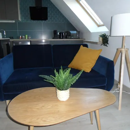 Spacieux En Calme , Parking Gratuit Appartement